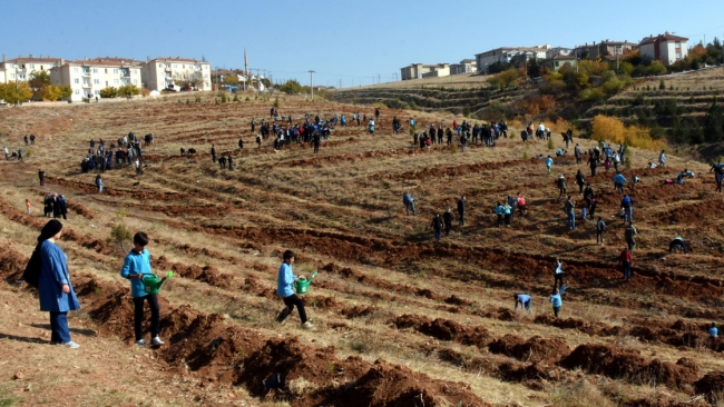 81 ilde 11 milyon fidan toprakla buluştu