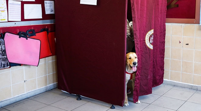 Türkiye'den renkli seçim görüntüleri