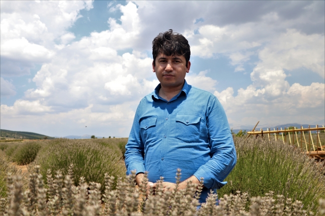 Isparta'da lavanta tarlalarına yoğun ilgi