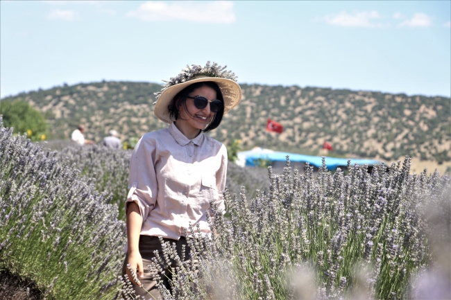 Isparta'da lavanta tarlalarına yoğun ilgi