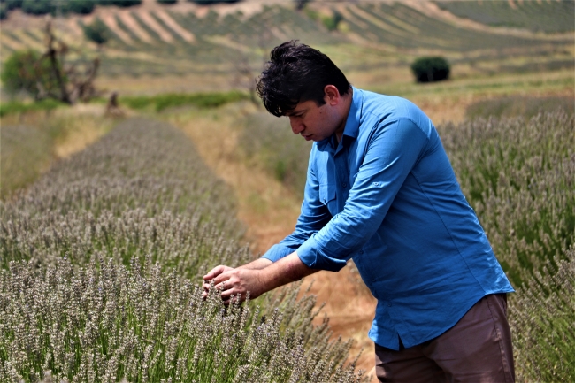 Isparta'da lavanta tarlalarına yoğun ilgi