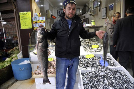 Balıkçının ağına 5 kiloluk levrek takıldı