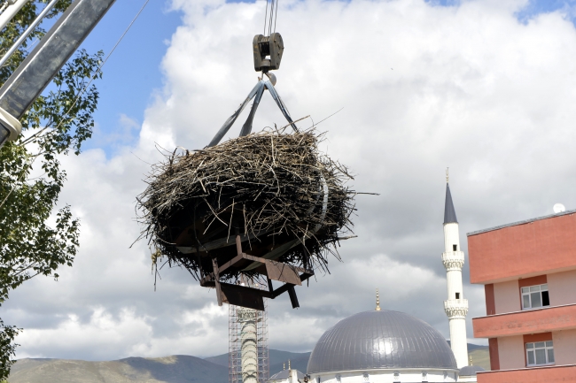 Yıkılacak binanın çatısındaki leylek yuvası taşındı