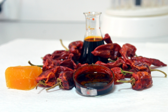 Öğrenciler Likit Maraş biberi ürettiler