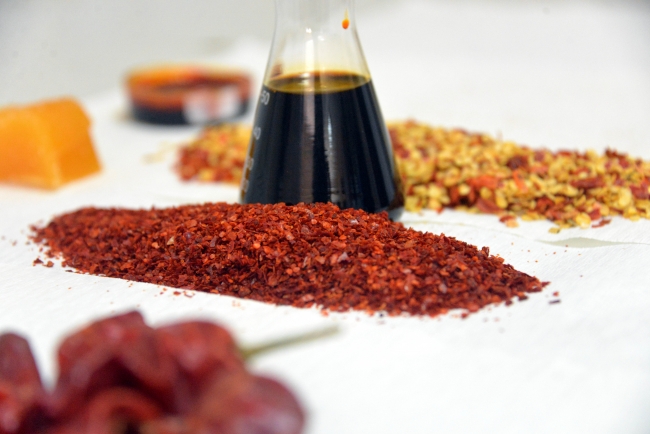 Öğrenciler Likit Maraş biberi ürettiler