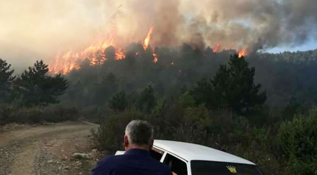 Kastamonu'da 20 dönümlük alan kül oldu