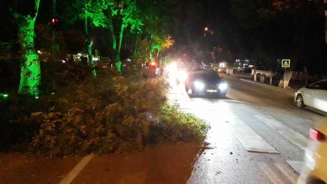 Şiddetli fırtına çatıları uçurdu, ağaçları devirdi