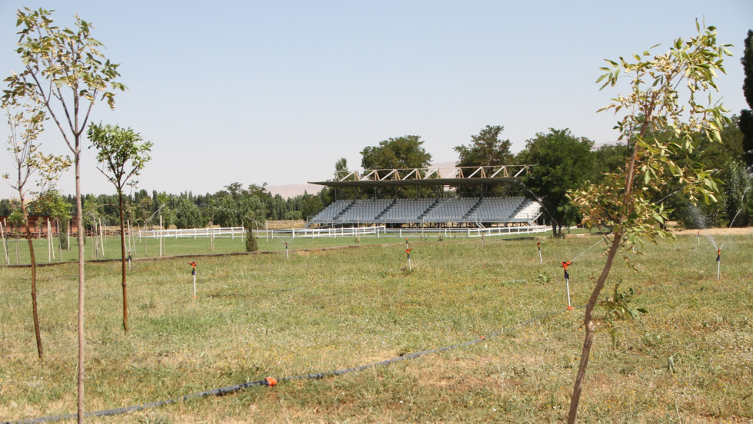 Malazgirt, zafer kutlamalarına hazırlanıyor