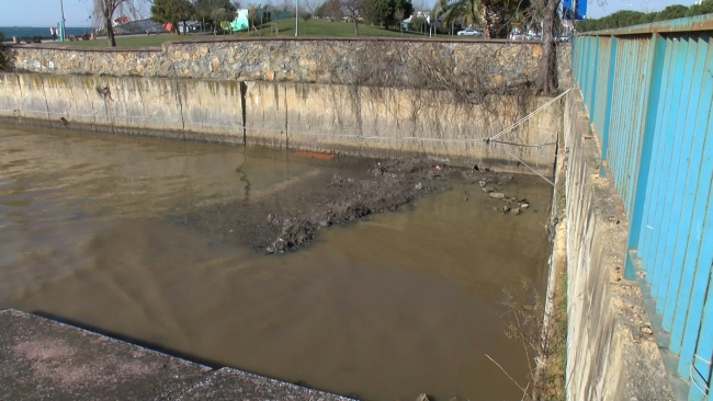 Maltepe'de denizin rengi kahverengiye döndü