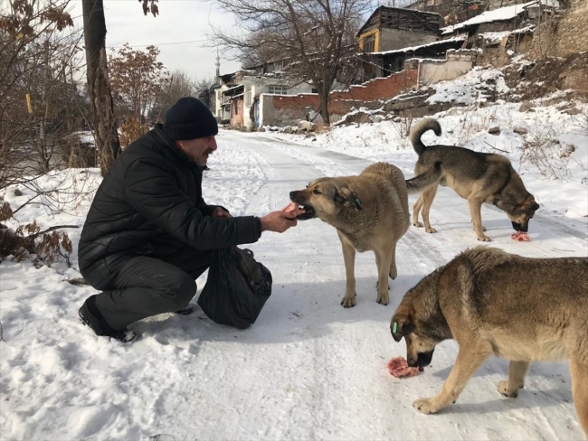 Emekli maaşını sokak hayvanları için harcıyor