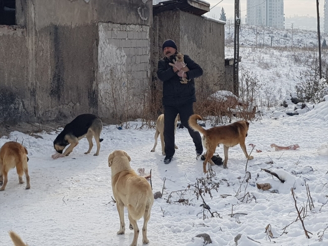 Emekli maaşını sokak hayvanları için harcıyor