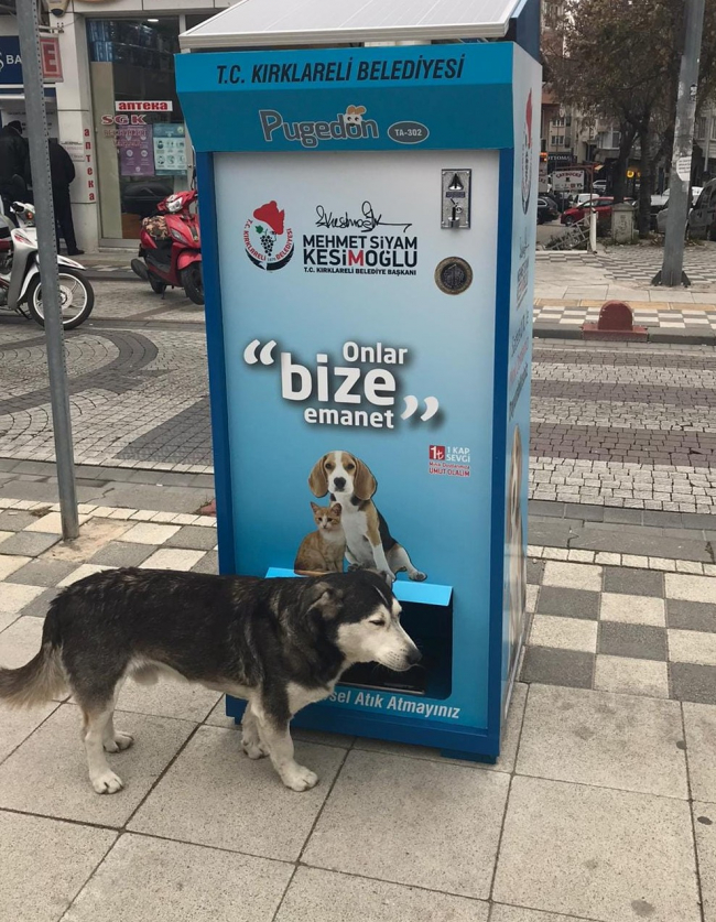 Kırklareli'nde sokak hayvanları için 'Mamamatik' uygulaması başladı