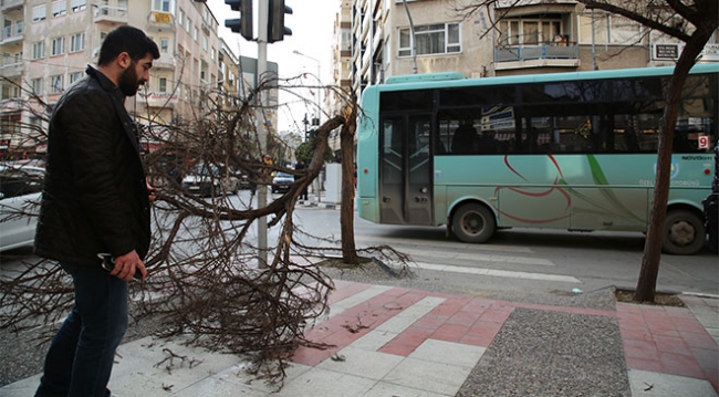 Ege Bölgesi'nde şiddetli rüzgar