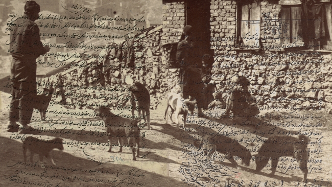 Fotoğraf: DepoPhotos, AA