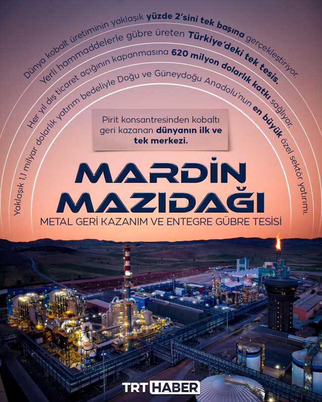 Info: Hafize Yurt Ateş - TRT Haber