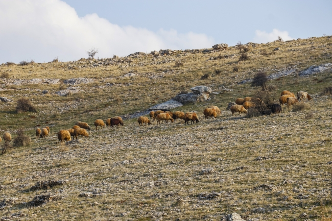 Mardin'de son 20 yılın en kurak dönemi yaşanıyor