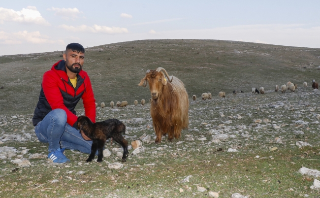 Mardin'de son 20 yılın en kurak dönemi yaşanıyor