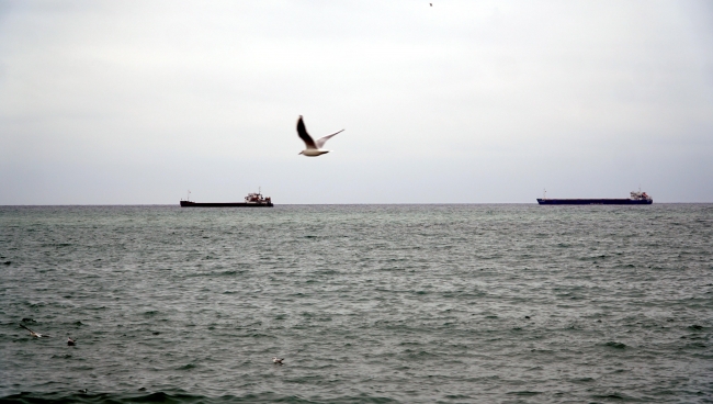 Marmara Denizi'nde ulaşıma "poyraz" engeli