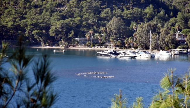 Marmaris'te deniz suyu çekildi, adacıklar oluştu