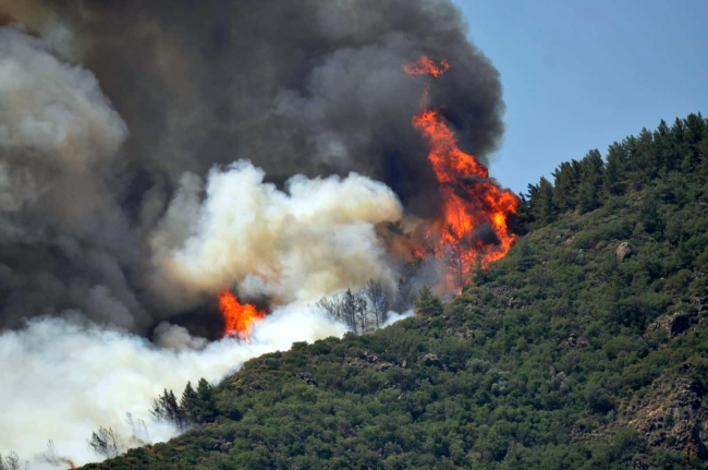 Marmaris'te peş peşe orman yangınları