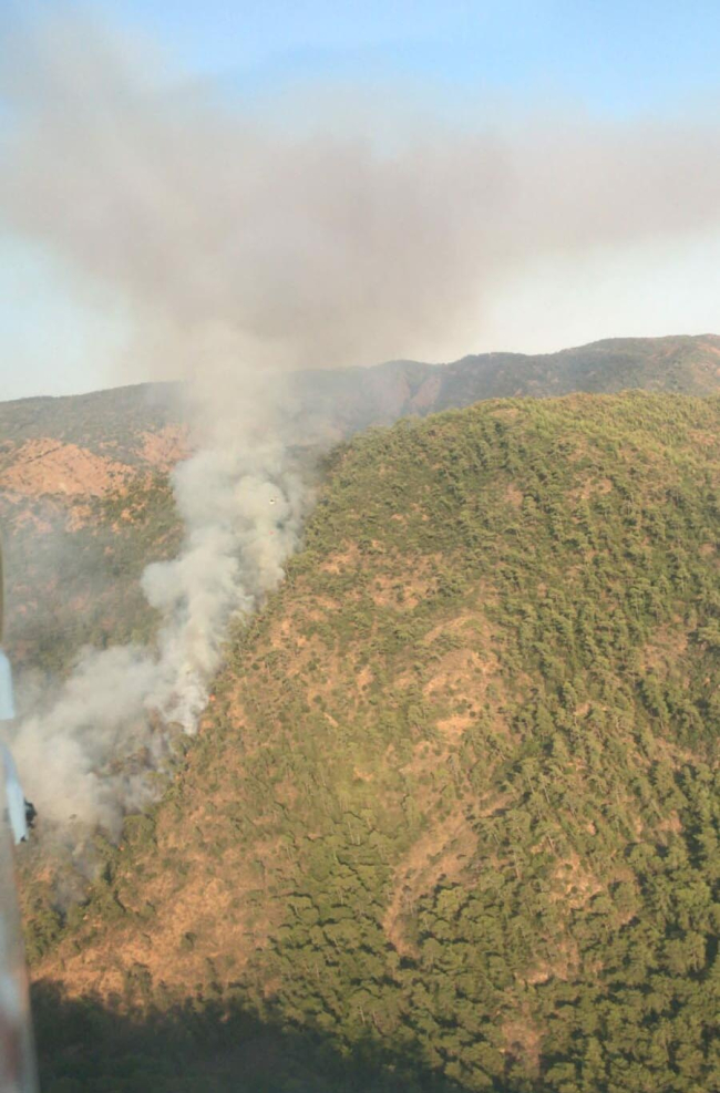 Marmaris'teki yangının çıkış nedeni için özel ekip kuruldu