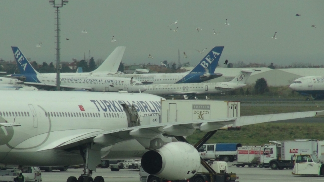Havalimanında yemek bekleyen "kuş" sürüsü