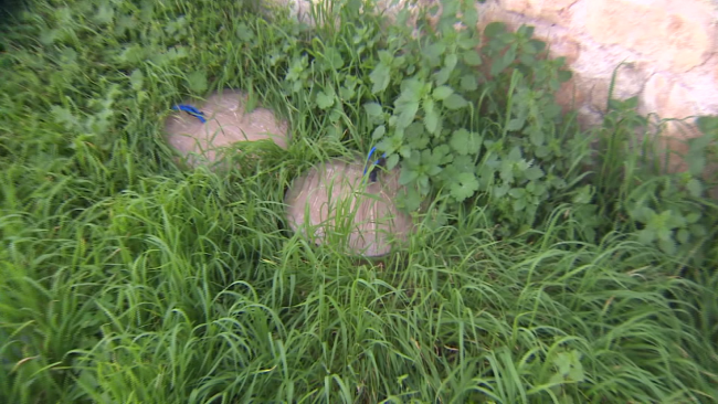 YPG/PKK'nın zulmü bir kez daha gözler önüne serildi