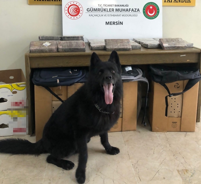Mersin Limanı'nda 30 kilogram kokain ele geçirildi