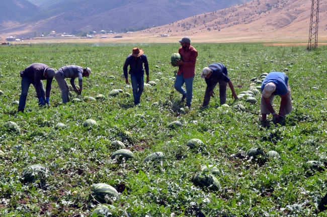 Mevsimlik işçilerin aile hasreti