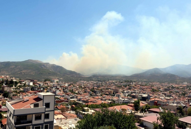 Muğla'da orman yangını