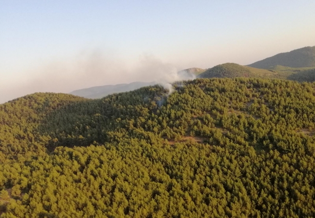 İzmir ve Muğla'da orman yangını