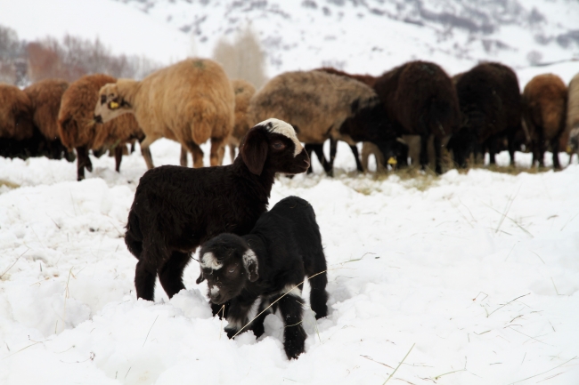 Kara kış Türkiye'yi etkisi altına aldı