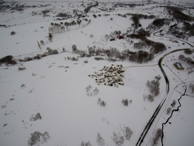 Kara kış Türkiye'yi etkisi altına aldı