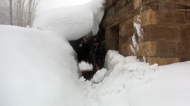 Muş'ta tek katlı evler kara gömüldü