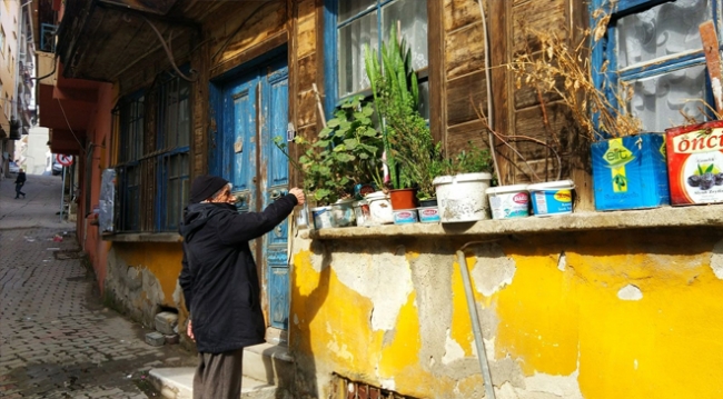 80 yaşındaki Mustafa Uçak, çiçekleri ile hayata tutunuyor