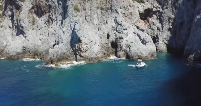 5 Akdeniz foku bir mağarada