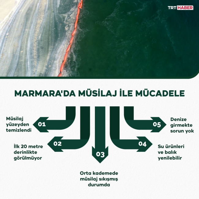 Grafik: TRT Haber / Şeyma Özkaynak