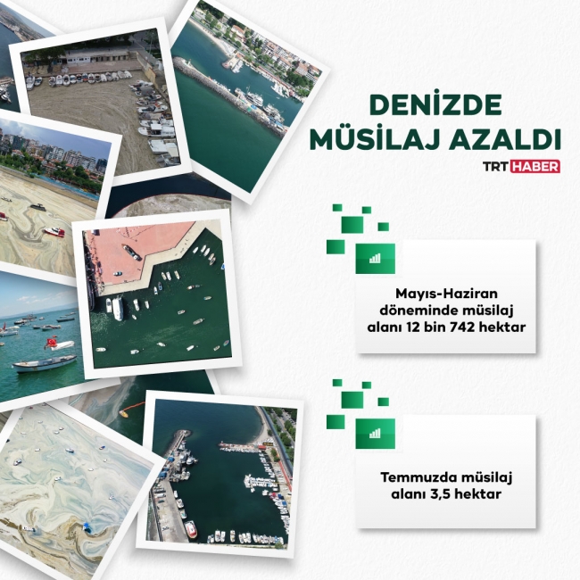 Grafik: TRT Haber / Şeyma Özkaynak