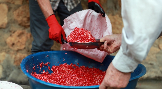 Zinnar'ın organik narları uzun uğraştan sonra 'nar ekşisi'ne dönüşüyor