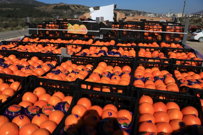 Zeytin Dalı Harekatı'na destek yağıyor