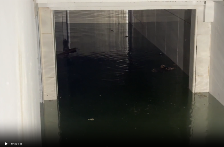 Bodrum'da isale hattı patladı, iş yerinin deposunu su bastı