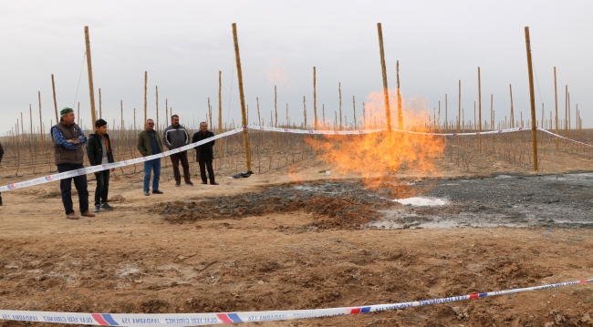 Elma bahçesini su aramak için kazdılar doğalgaz çıktı
