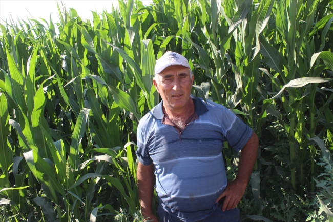 Konya'da obruk oluştu