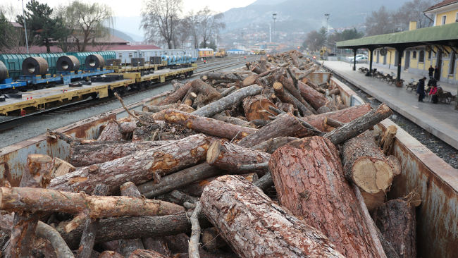 Odun yüklü vagonlar deprem bölgesine doğru yola çıktı