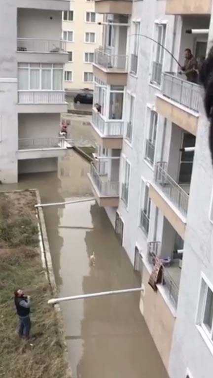 Edirne'de sel mağdurları ekmeğe ulaşmak için olta attı