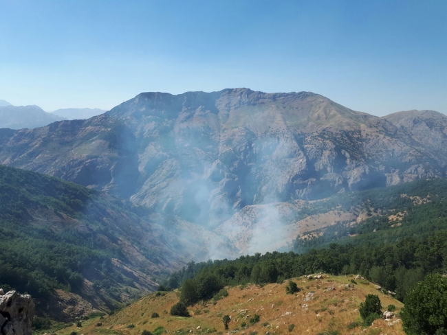 'Yeşil listede' bulunan terörist etkisiz hale getirildi