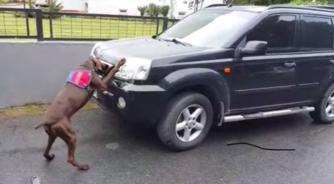 Jandarma ekipleri uyuşturucu tacirlerine göz açtırmıyor