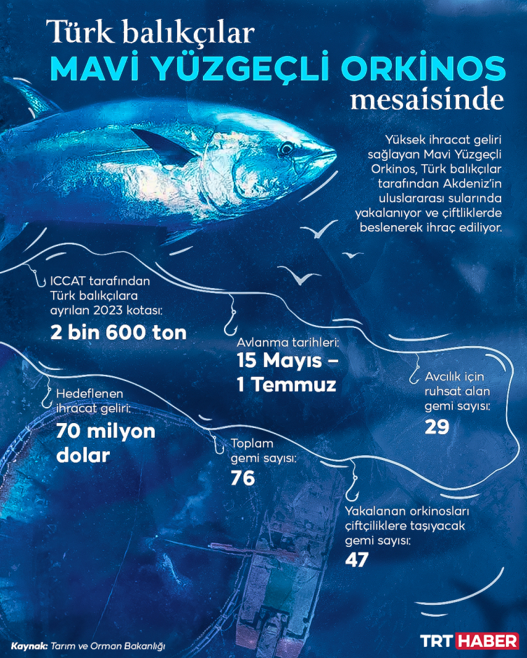 76 Türk balıkçı gemisi Akdeniz’de Mavi Yüzgeçli Orkinos mesaisinde