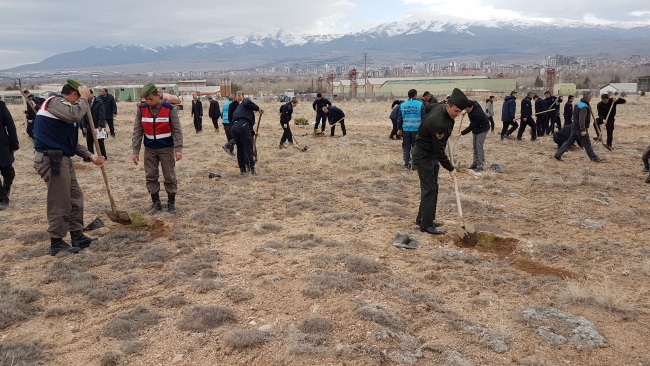 Niğde'de şehit polis Fethi Sekin anısına hatıra ormanı