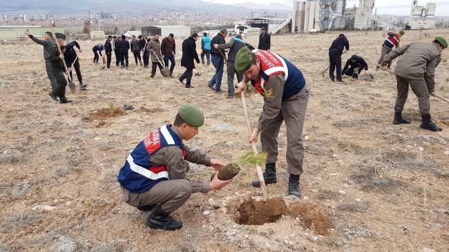 Niğde'de şehit polis Fethi Sekin anısına hatıra ormanı